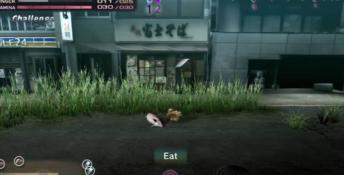 Tokyo Jungle Playstation 3 Screenshot