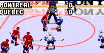 ESPN National Hockey Night Sega CD Screenshot