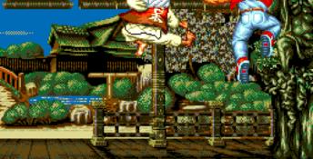 Fatal Fury Special Sega CD Screenshot