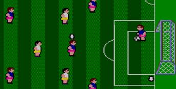 94 Super World Cup Soccer Sega Master System Screenshot