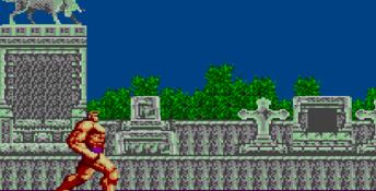 Altered Beast Sega Master System Screenshot