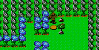 Dragon Crystal Sega Master System Screenshot