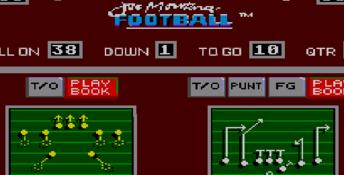 Joe Montana Football Sega Master System Screenshot