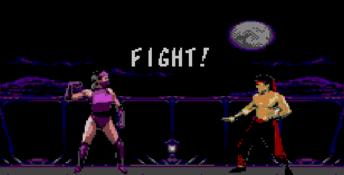 Mortal Kombat 2 Sega Master System Screenshot