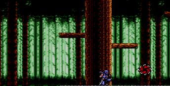 Ninja Gaiden Sega Master System Screenshot