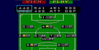 Sensible Soccer Sega Master System Screenshot