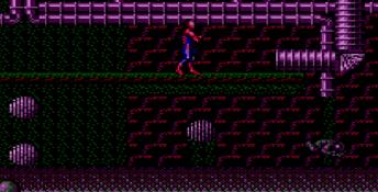 Spider-Man vs. the Kingpin Sega Master System Screenshot