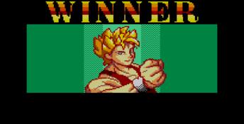 Virtua Fighter Animation Sega Master System Screenshot