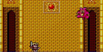 Wonder Boy in Monster Land Sega Master System Screenshot