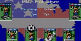 World Cup '94 Sega Master System Screenshot