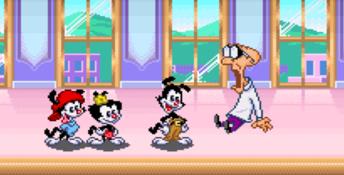 download animaniacs snes game