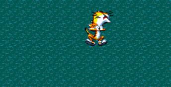Chester Cheetah: Wild Wild Quest SNES Screenshot