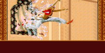 Prince of Persia 2: The Shadow and the Flame SNES Screenshot