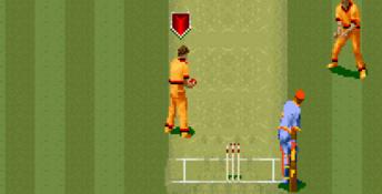Super International Cricket SNES Screenshot