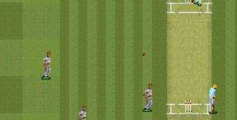 Super International Cricket SNES Screenshot