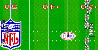 Tecmo Super Bowl SNES Screenshot