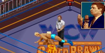 WCW: Super Brawl Wrestling