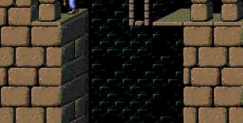 Prince Of Persia TurboDuo Screenshot