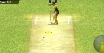 Ashes Cricket 2009 Wii Screenshot