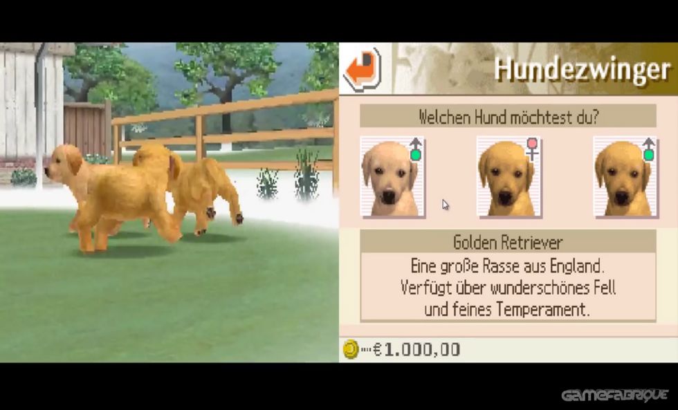 nintendogs online multiplayer