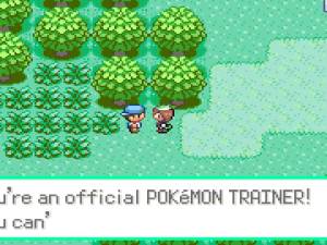 download pokemon emerald randomizer gba