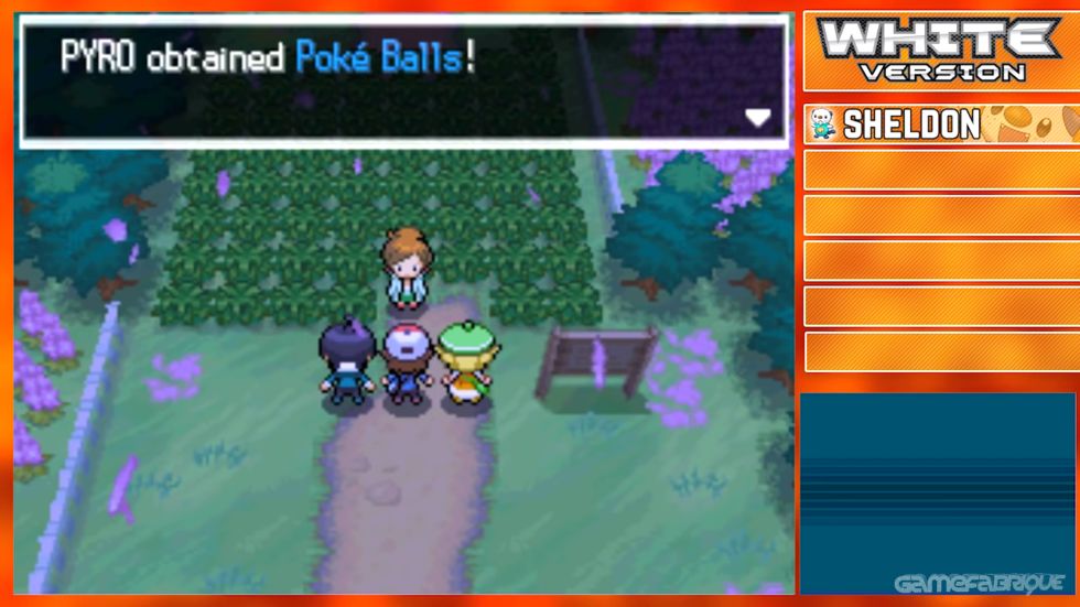 Pokemon HeartGold Version Download - GameFabrique