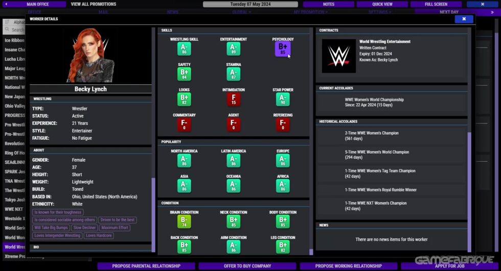 Pro Wrestling Sim Download - GameFabrique