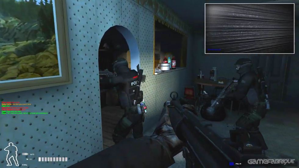can you play swat 4 online