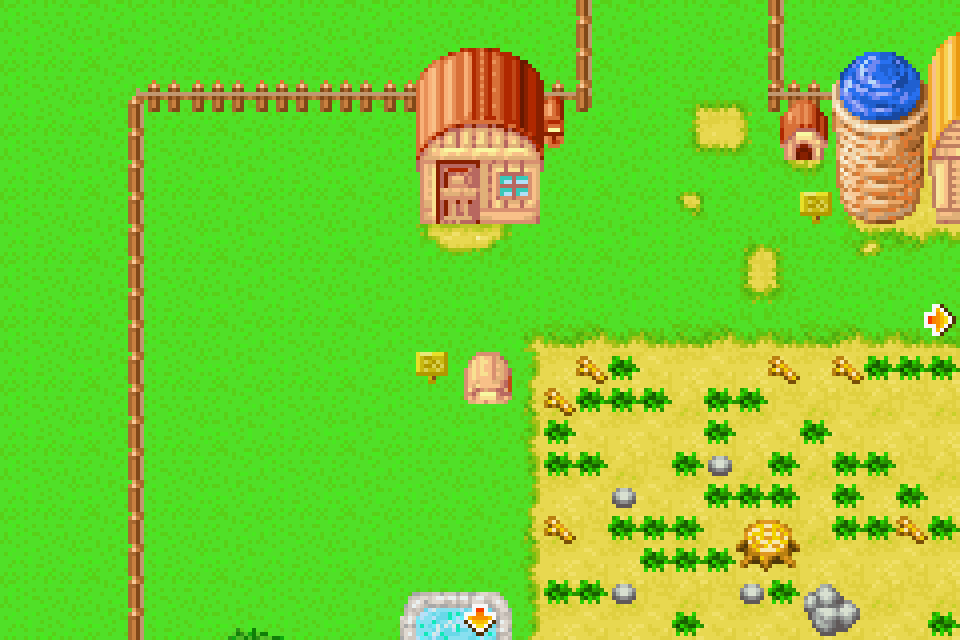 Harvest moon friends of mineral town map dadmoney
