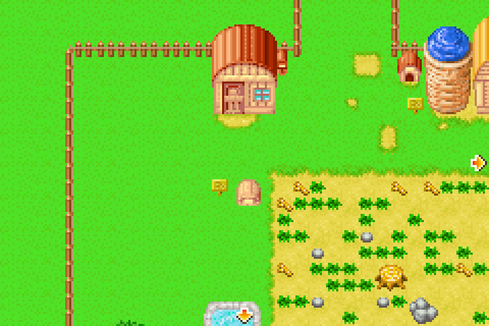 harvest moon friends of mineral town map