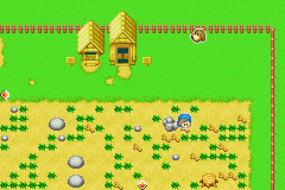 Harvest moon bot. Harvest Moon игра. Harvest Moon: friends of Mineral Town. Harvest Moon 1996. Harvest Moon 1996 игра.