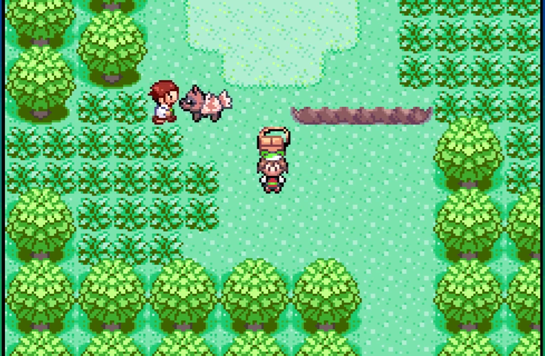 Pokemon Emerald Randomizer ROM - GBA Download - Techtoroms