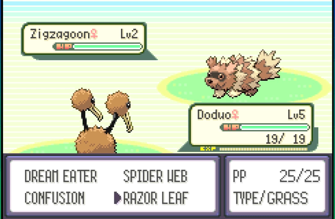 pokemon emerald randomizer addon