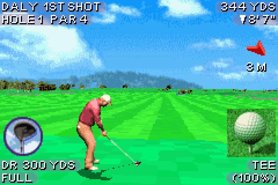 tiger woods pga tour 2004