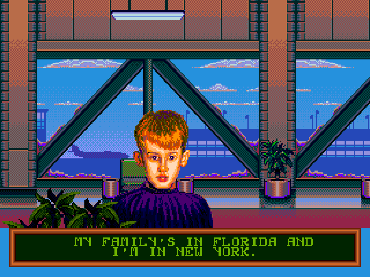 Home Alone 2 - Lost In New York Download Game | GameFabrique