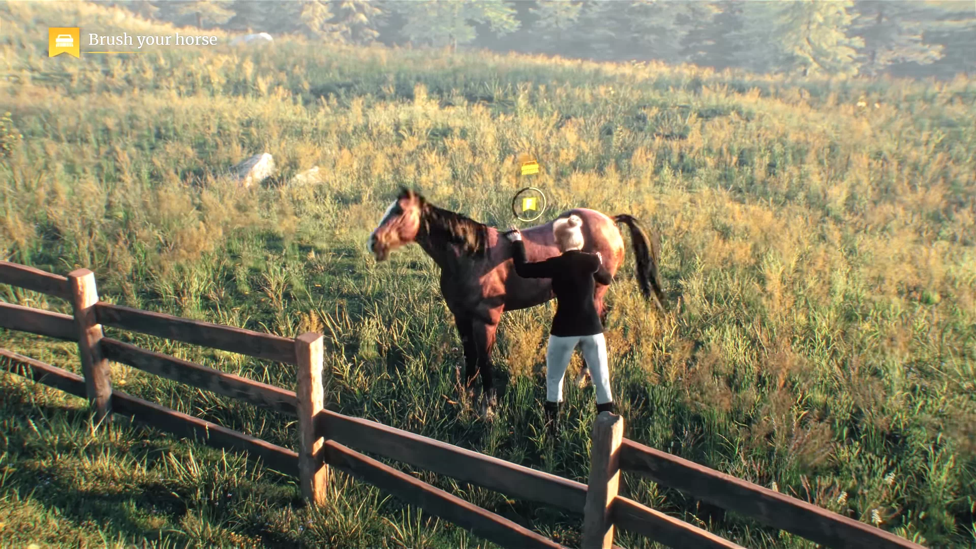 My Horse: Bonded Spirits no Steam