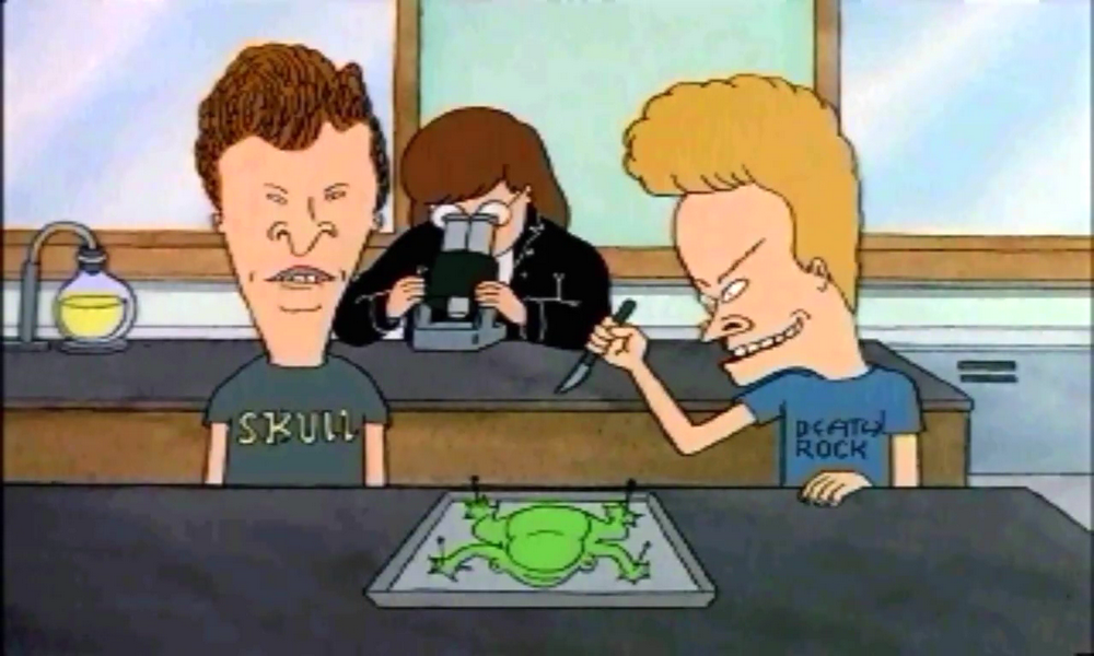 download beavis and butt head do the universe stream