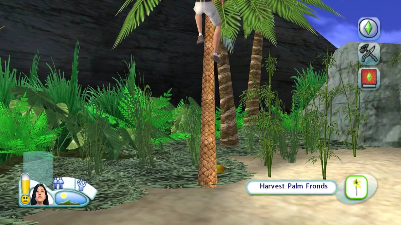 the sims 2 castaway wii gameplay